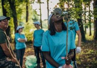 Communicating sustainable forestry