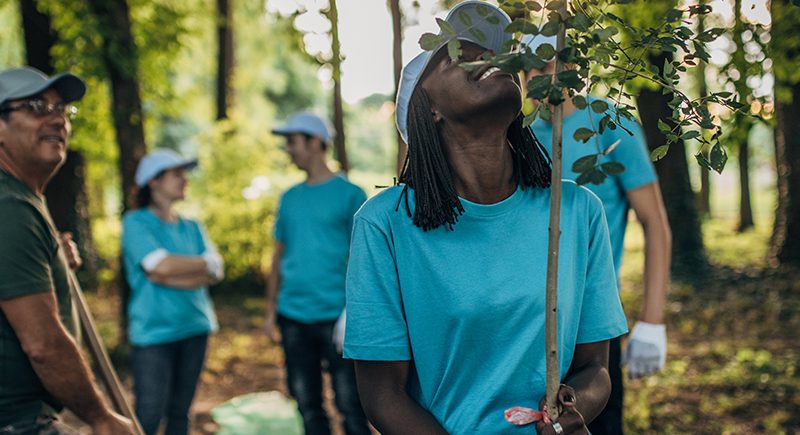 Communicating sustainable forestry