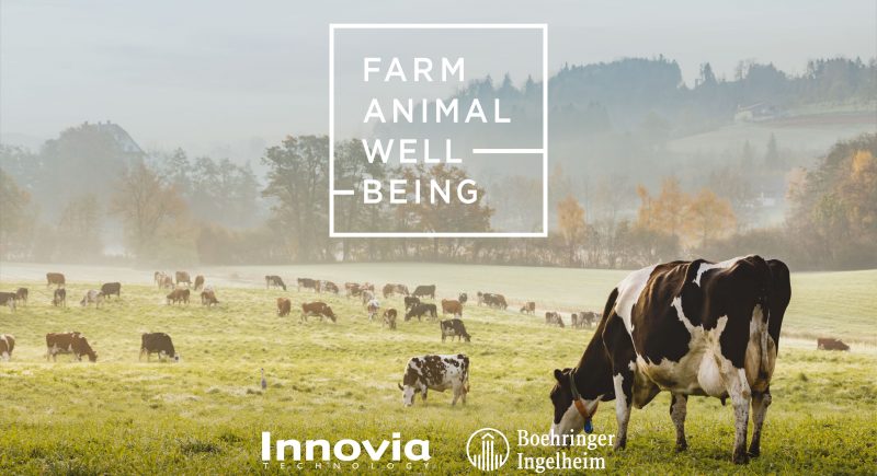 Boehringer Ingelheim