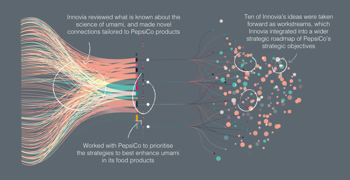 Innovia’s Understand, Explore, Decide approach enabled the generation of novel strategies in a technically complex area of food science – umami – that were both actionable and value-driving.