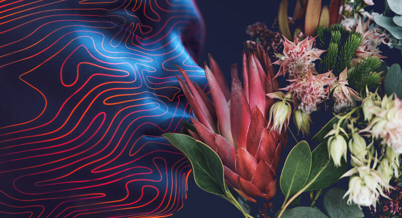 Slicing through digital hype to reach consumer truth